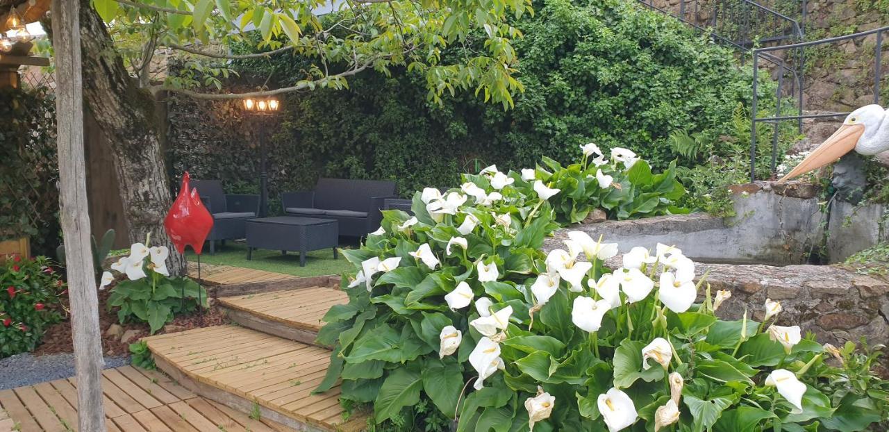 Casa Belavista Penela - Charming Guest House - Adults Only Extérieur photo